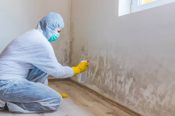 Hvac And Air Duct Mold Remediation inspection of HVAC system in Rocky Mount