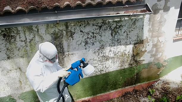Mold Remediation service in Rocky Mount, Rocky Mount, VA